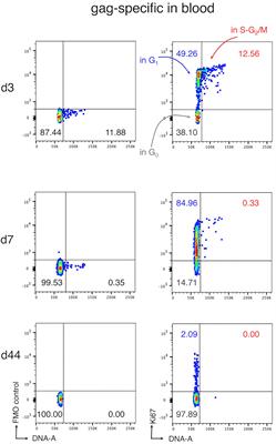 Recirculation and Residency of T Cells and Tregs: Lessons Learnt in Anacapri